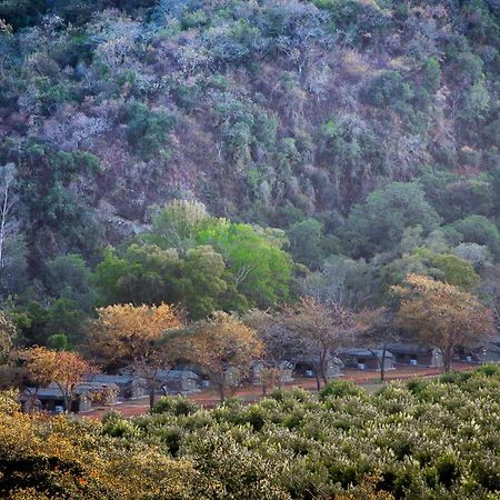 Lions Rock Rapids - Luxury Tented Camp Hazyview Εξωτερικό φωτογραφία
