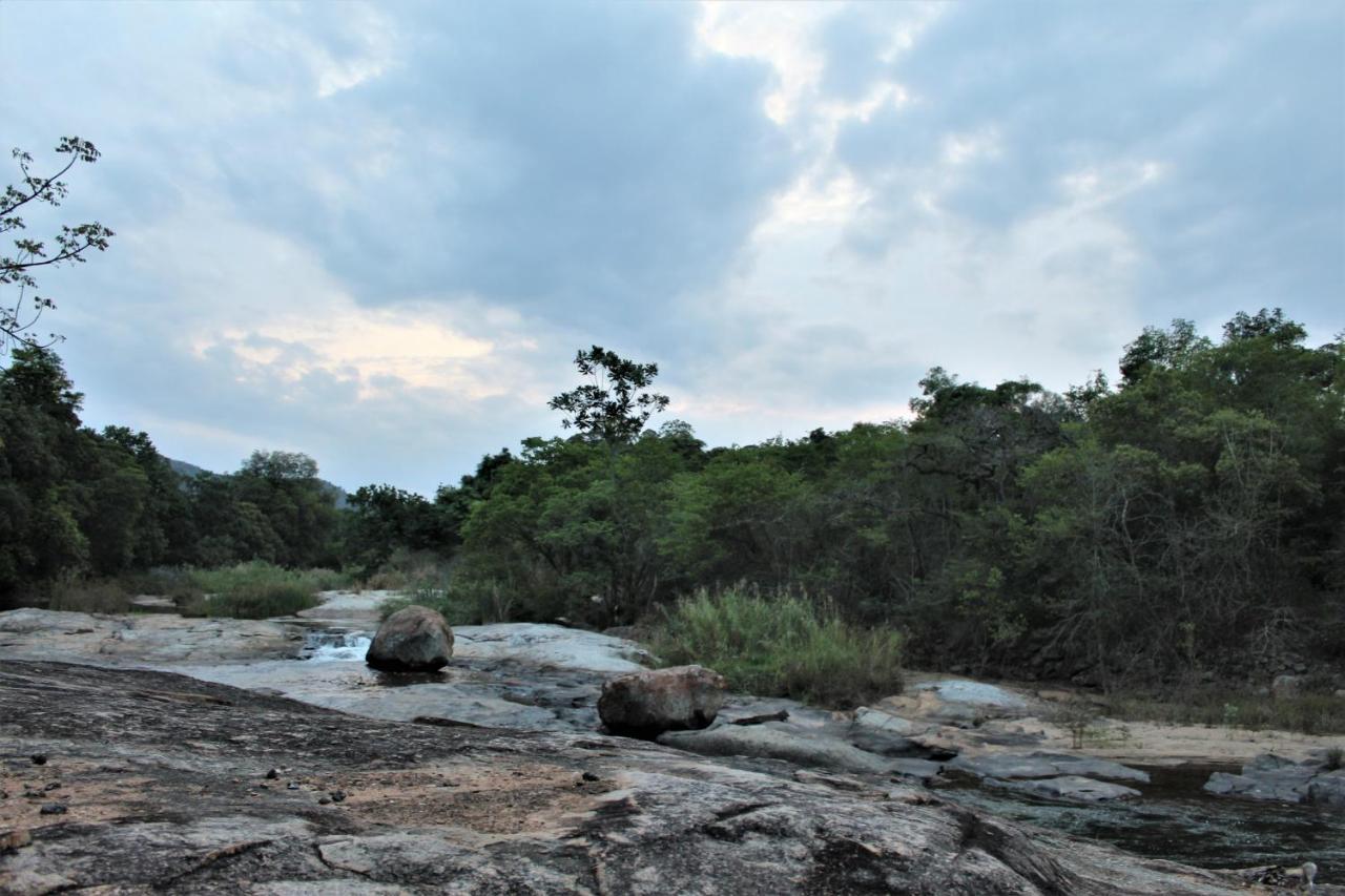 Lions Rock Rapids - Luxury Tented Camp Hazyview Εξωτερικό φωτογραφία