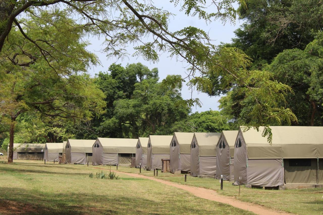 Lions Rock Rapids - Luxury Tented Camp Hazyview Εξωτερικό φωτογραφία