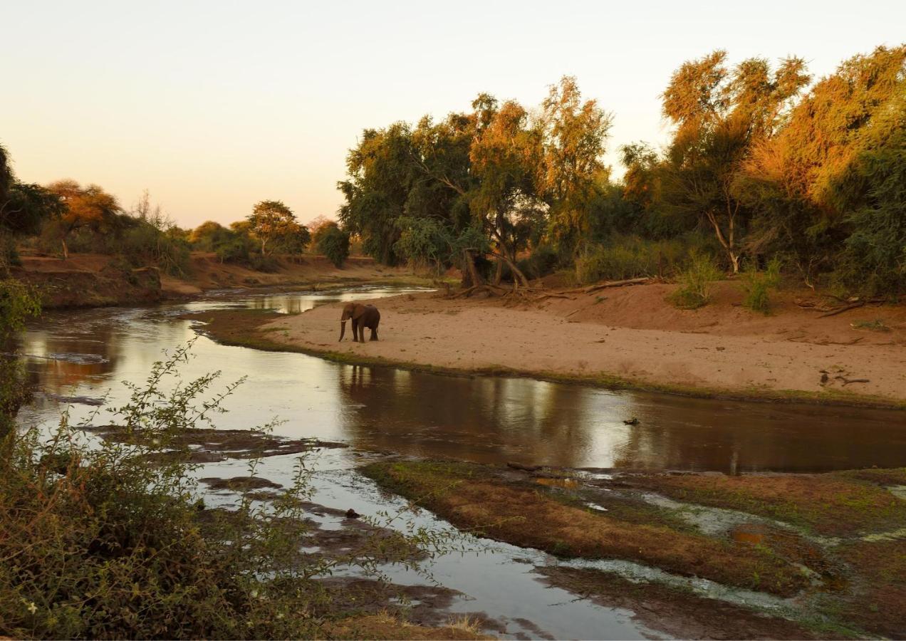 Lions Rock Rapids - Luxury Tented Camp Hazyview Εξωτερικό φωτογραφία