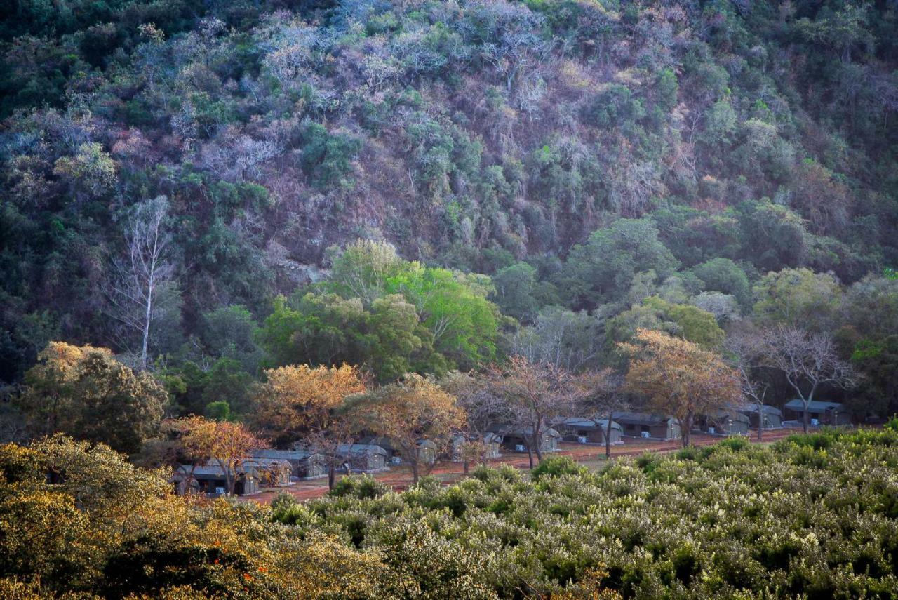 Lions Rock Rapids - Luxury Tented Camp Hazyview Εξωτερικό φωτογραφία